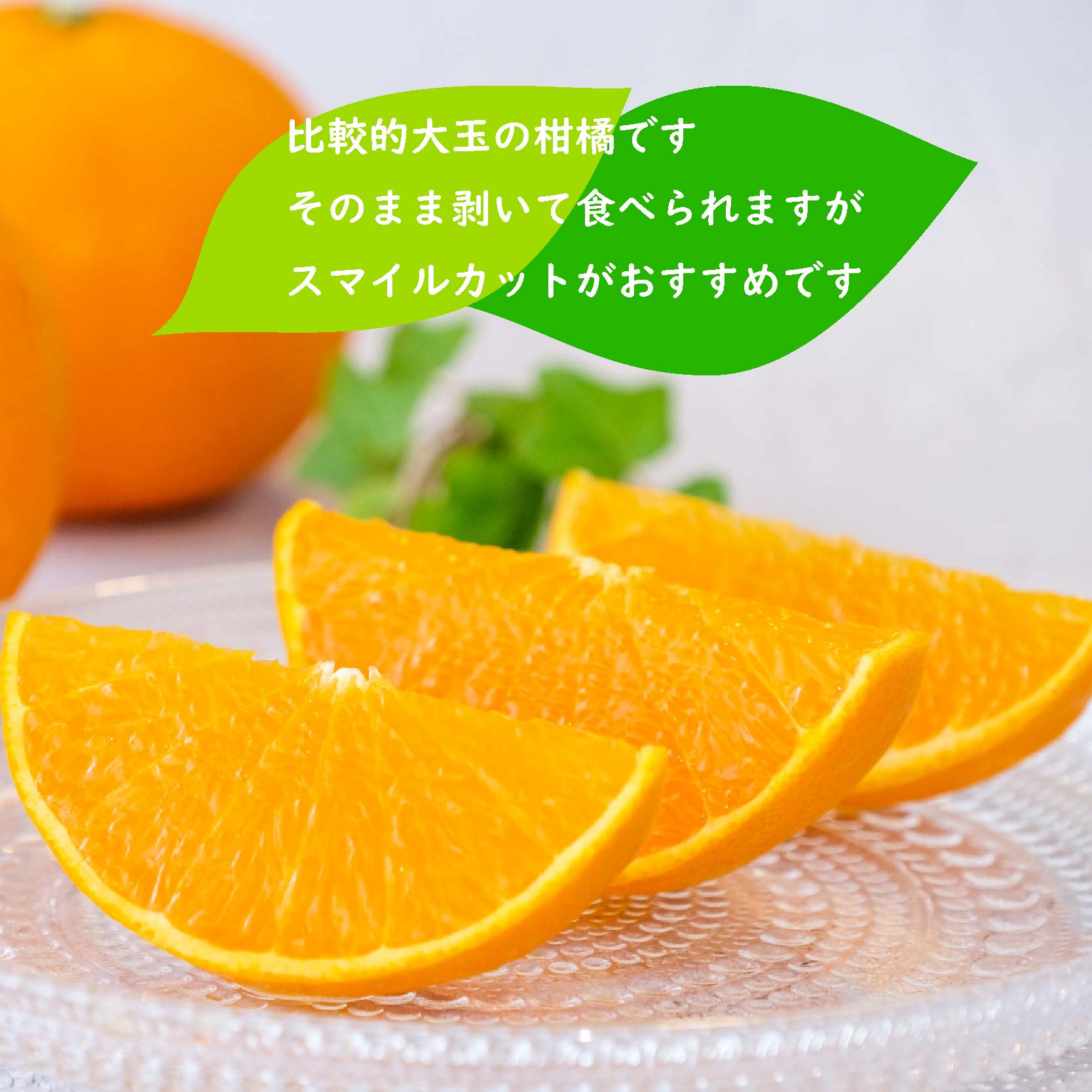 ã2027幎3æäžæ¬ããããçºéäºå®ãããšã çŽ 3kg (9~13ç) | 3æçºé ææ© èæ ã¿ãã ãã«ã³ ç§å æåª æŸå±±åž ææ© é«çŽ ç³åºŠ