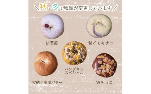 夏メニュー！ ベーグル 専門店 BAGELラクダピクニック バラエティベーグル 9個 セット | パン ベーグル 国産 季節限定 時期限定 焼き立て 詰め合わせ 愛媛 松山