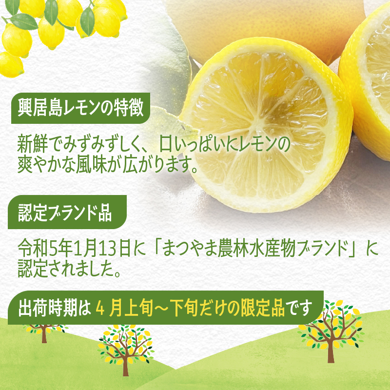  【4月上旬より発送】興居島レモン 10kg | 国産 愛媛 れもん レモン lemon 青果 フルーツ 果物 くだもの 期間限定 数量限定 人気 おすすめ 愛媛県 松山市 ブランド 興居島 送料無料 