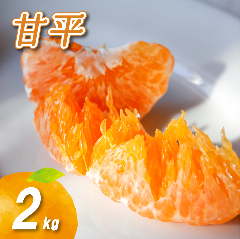 【2027年2月頃から順次発送】 甘平 2kg | 数量選択可 みかん ミカン 蜜柑 柑橘 数量限定 愛媛県産 松山市 中島