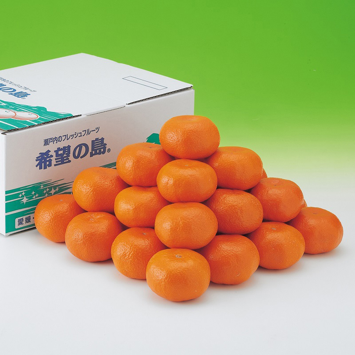 【11月下旬頃から発送予定】温州みかん 2kg 愛媛 中島産 希望の島 家庭用 みかん 柑橘