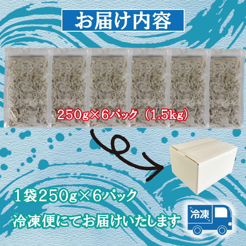 家庭用 釜揚げ しらす 約1.5kg | 家庭用 冷凍 しらす しらす干し ごはんのお供 おつまみ 酒の肴 小分け 便利 簡単調理 おかず 惣菜 しらす丼 グルメ 食品 魚 魚介 海鮮 シラス 愛媛県 松山市 しらす