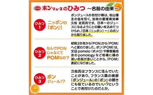 ポンジュース 4.8L ( 800ml × 6本 ) みかん ジュース みかんジュース オレンジジュース 果汁飲料 ペットボトル 果汁 100％ 飲料 愛媛県 松山市 人気おすすめ