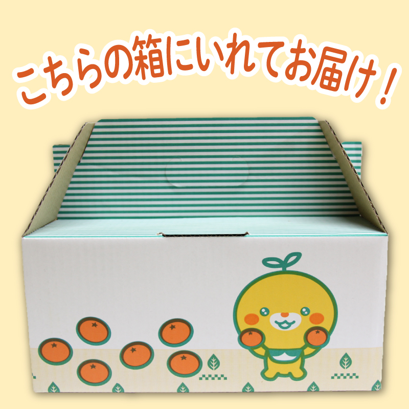 【2025年2月中旬～3月中旬頃発送予定】 せとか 1.5kg（M～3L）｜ 先行予約 せとか セトカ ｾﾄｶ せとか 柑橘 せとか 取り寄せ せとか 甘いみかん せとか ギフト 高級みかん 高級柑橘 せとか 愛媛県産 せとか ミカン みかん ミカン mikan 蜜柑 柑橘 フルーツ 果物 くだもの お取り寄せ 産地直送 数量限定 人気 おすすめ 送料無料 贈答 愛媛県 松山市