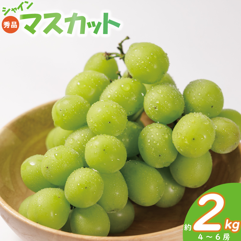 【秀品】 シャインマスカット 約2kg ( 4 ~ 6房 ) ぶどう 葡萄 マスカット フルーツ 果物 冷蔵 数量限定 おすすめ 愛媛県産 松山市