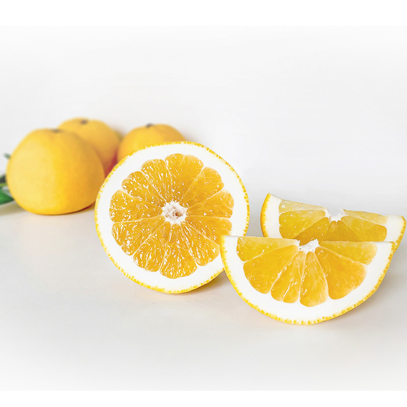 【2026年4月上旬頃から発送】 河内晩柑 秀品 ６玉 ギフトBOX入り｜和製グレープフルーツ 木成り熟成 爽やか みかん ミカン 蜜柑 甘い すっぱい 酸っぱい 酸味 数量限定 期間限定 愛媛県産 甘み 香り 柑橘 松山市 贈答 新鮮