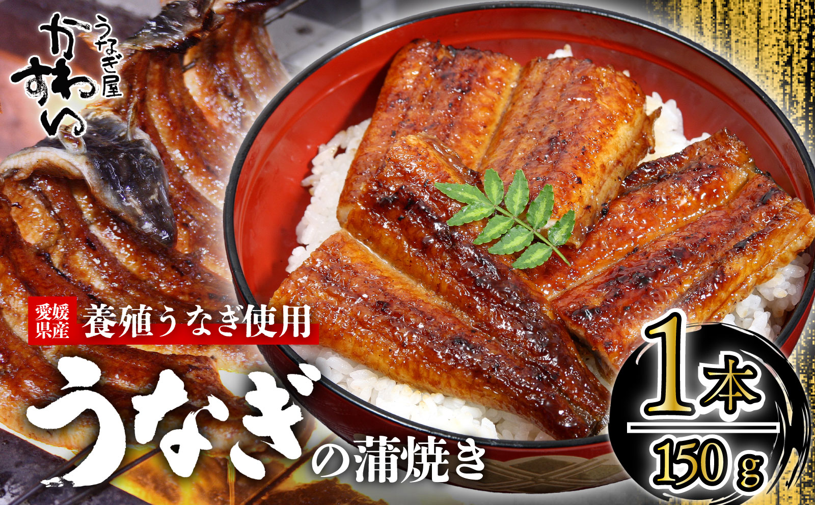 〈うなぎ屋かわすい〉愛媛県松山市養殖うなぎを使用！うなぎ蒲焼 1本 (1尾：150〜169g) ｜うなぎ ウナギ 鰻 蒲焼き 国産 お取り寄せ グルメ ふるさと納税 簡単調理 土用丑の日 ギフト 贈り物 お中元 お歳暮 母の日 父の日 かわすい 川口水産 愛媛県 松山市