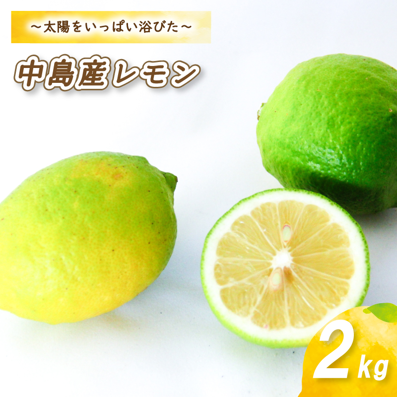 【2026年10月下旬頃から順次発送】 レモン 2kg ( 14〜 18玉 ) | レモン 檸檬 レモン a数量限定 レモン 愛媛県産 レモン 松山市 レモン 中島 レモン 有機栽培 レモン 新鮮 レモン 【お贈り物にもおすすめ】