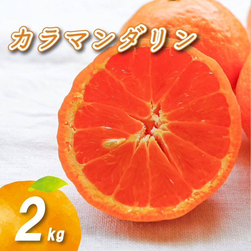 【2027年4月下旬頃から順次発送】カラマンダリン 2kg | 数量選択可 みかん ミカン 蜜柑 柑橘 数量限定 愛媛県産 松山市 中島 愛媛 送料無料