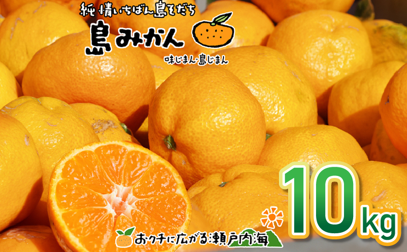 【11月下旬頃から発送予定】温州みかん 10kg 愛媛 中島産 希望の島 家庭用 みかん 柑橘