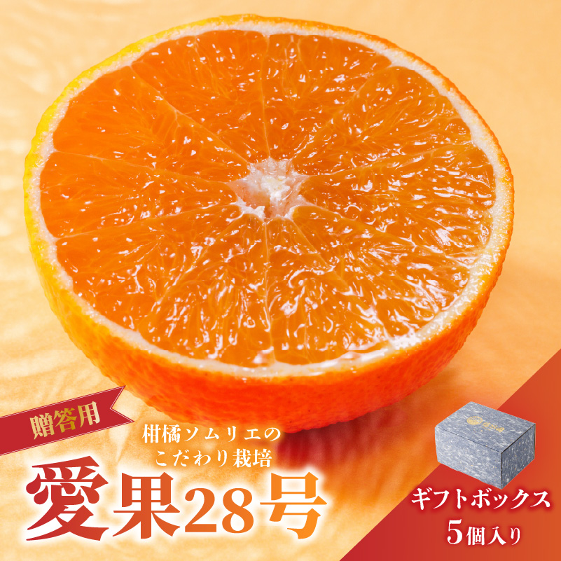 愛果28号 (紅まどんな と同品種) ギフトボックス Lから2Lサイズ 5玉 ご贈答 A品 秀品【2025年11月中旬から発送】 | あいか 紅まどんな 紅マドンナ と 同品種 愛媛みかん みかん ミカン mikan お取り寄せ 産地直送 数量限定 人気 おすすめ 愛媛県 松山市 蓮果園