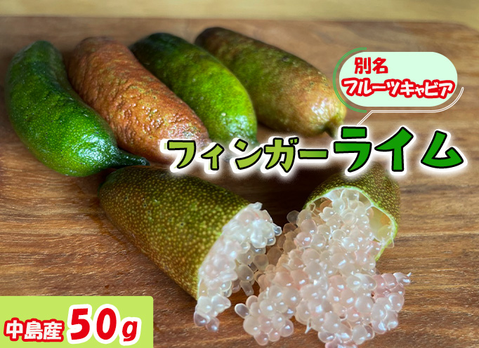 【順次発送中】フィンガーライム 50g 愛媛県 中島産| ライム 酸味 さっぱり 添え物 料理 チューハイ アルコール 炭酸 飲み物 飲料 産地直送 国産 愛媛 松山