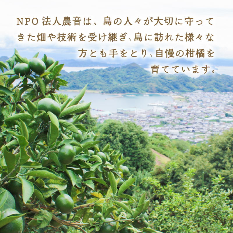 縲2026蟷エ11譛井ク区流鬆縺九i鬆谺。逋コ騾√ 貂ゥ蟾槭∩縺九s 2kg | 謨ー驥城∈謚槫庄 繝溘き繝ウ 譌ゥ逕 繧上○ 繝溘き繝ウ 蜊玲汨20蜿キ 縺ソ縺九s 謨ー驥城剞螳 縺ソ縺九s 諢帛ェ帷恁逕」 縺ソ縺九s 譚セ螻ア蟶 縺ソ縺九s 荳ュ蟲カ 縺ソ縺九s 貂ゥ蟾槭∩縺九s 縺ソ縺九s 陷懈汨 貂ゥ蟾槭∩縺九s 繝溘き繝ウ 縺ソ縺九s 譌ャ 貂ゥ蟾槭∩縺九s 霎イ髻ウ縺ョ繝溘き繝ウ 髱呈棡迚ゥ 縺ソ縺九s 貂ゥ蟾槭∩縺九s 荳ュ蟲カ逕」縺ョ縺ソ縺九s 譟第ゥ 縺九s縺阪▽ 陷懈汨 繝輔Ν繝シ繝 繝繧カ繝シ繝 莠コ豌励ョ縺ソ縺九s