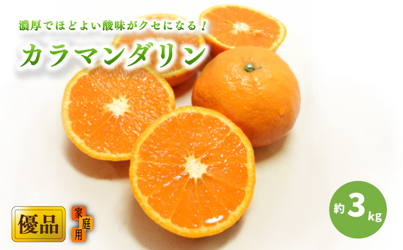 【2026年4月上旬頃から発送予定】カラマンダリン 家庭用(優品) 約3kg （ 愛媛産 愛媛県産 国産 愛媛みかん 愛媛蜜柑 愛媛ミカン みかん ミカン mikan 蜜柑 柑橘 フルーツ 果物 くだもの お取り寄せ 産地直送 数量限定 人気 おすすめ 愛媛県 松山市 送料無料 ）