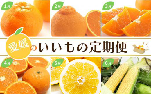 【定期便12回】 愛媛のいいもの定期便 (かんきつ・お野菜・ジュレ) | みかん 柑橘 いよかん 不知火 しらぬい デコポン せとか カラマンダリン 河内晩柑 かわちばんかん とうもろこし コーン ハウス みかん なす 温州みかん極早生 早生 愛果28号 | 松山市 愛媛県 定期便 お楽しみ 旬 フルーツ 果物 12回 定期便 果物 愛媛県 松山市