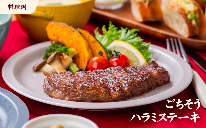 牛ハラミ ブロック 3kg タンブリング加工 牛ハラミ はらみ 牛肉 肉 個包装 冷凍 焼肉 焼き肉 BBQ バーベキュー ステーキ 丼物 簡単調理 炒め物 家庭用 業務用 人気 お取り寄せ 愛媛県 松山市