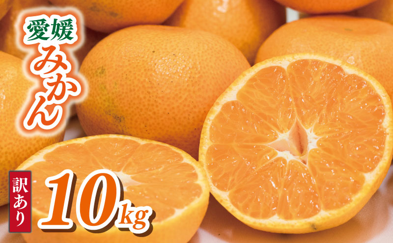 【順次発送中】 訳あり 愛媛みかん 約10kg | えひめみかん 愛媛のみかん 温州みかん みかん 温州ミカン 柑橘 果物 蜜柑 えひめのみかん くだもの フルーツ みかん ミカン mikan mican 不揃い 傷 ワケアリ 訳アリ 愛媛県 松山市