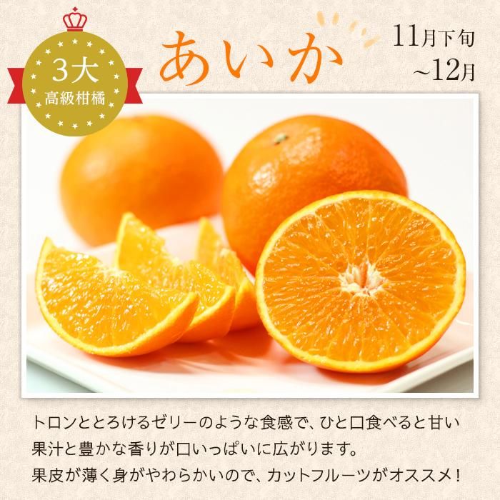 【2026年11月中旬頃から順次発送】愛果28号 (紅まどんな と同品種) 家庭用(優品) 約3kg あいか みかん ミカン オレンジ 贈答 ギフト プレゼント 高級 柑橘 松山 愛媛県