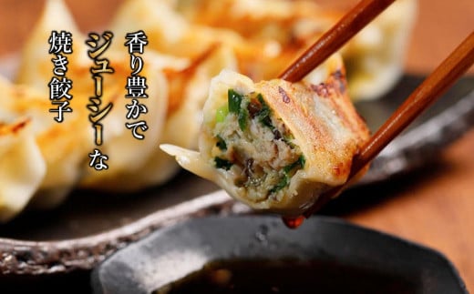 【ミシュランガイド掲載】 点心専門店の手づくり焼き餃子30個 / 1.05kg （タレ・作り方付き）水餃子 餃子 ギョーザ 餃子 ギョーザ 点心 中華 餃子 ギョーザ 餃子 ギョーザ 点心 中華 点心 中華料理 愛媛 松山市 おすすめ人気