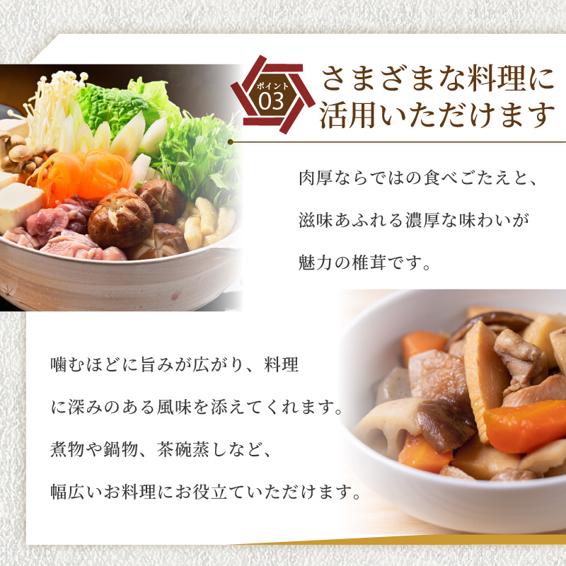 訳あり 乾燥椎茸 「媛子」 480g 炭火焙煎 【2026年11月下旬頃から順次発送】  | ワケアリしいたけ 訳アリ 椎茸 乾燥しいたけ キノコ きのこ ギフト オススメ 愛媛県 松山市