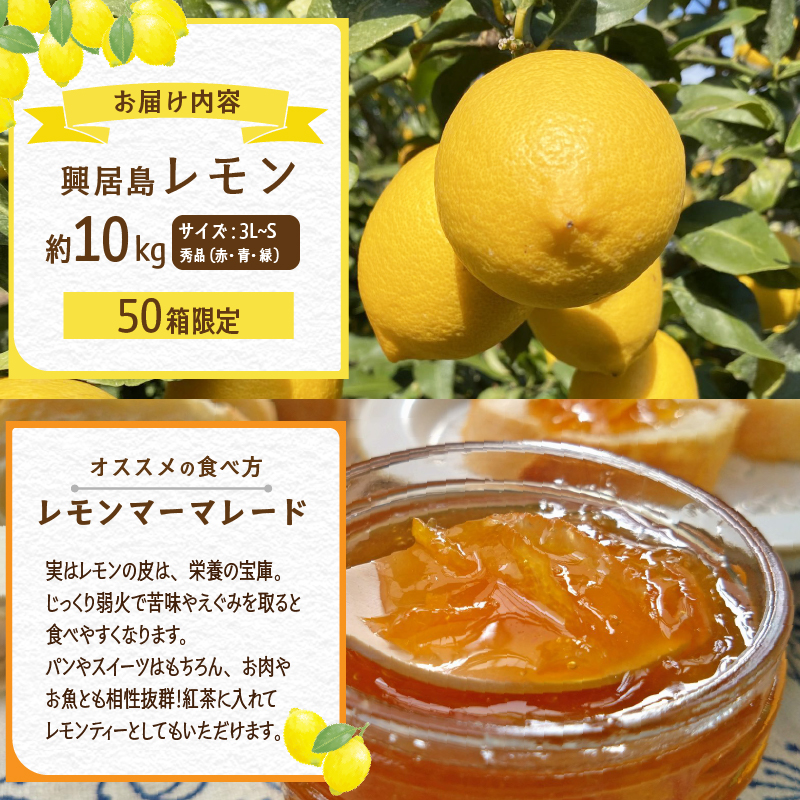  【4月上旬より発送】興居島レモン 10kg | 国産 愛媛 れもん レモン lemon 青果 フルーツ 果物 くだもの 期間限定 数量限定 人気 おすすめ 愛媛県 松山市 ブランド 興居島 送料無料 