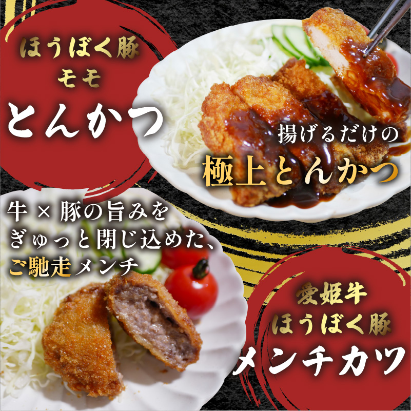 愛媛の美味しいお肉料理の詰め合わせ | 肉 肉料理 牛肉 豚肉 とんかつ メンチカツ 牛丼 豚丼 冷凍 詰め合わせ 食べ比べ セット 愛媛県産 簡単調理 ご当地グルメ 愛媛県 松山市