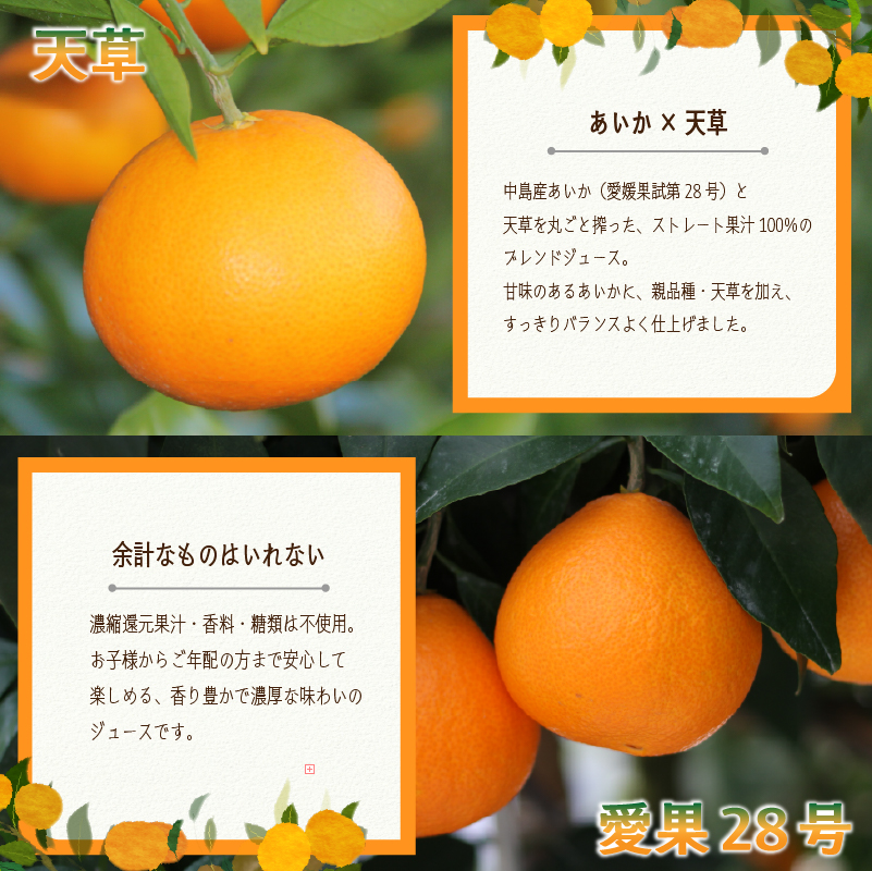 あいか＆天草ブレンド 果汁100％ ジュース 720ml×6本 | ストレート 無添加 みかん 愛果28号 紅まどんな と同品種 果汁100 オーガニック 無添加 ストレートジュース 数量選択可 みかんジュース 果汁100% みかんジュース ジュース 柑橘 果汁飲料 みかんジュース NPO法人農音 愛媛県 松山市 中島