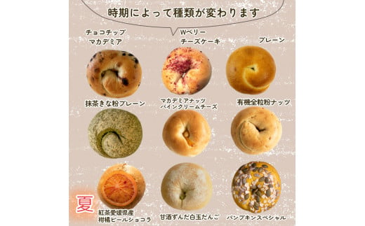 夏メニュー！ ベーグル 専門店 BAGELラクダピクニック バラエティベーグル 9個 セット | パン ベーグル 国産 季節限定 時期限定 焼き立て 詰め合わせ 愛媛 松山