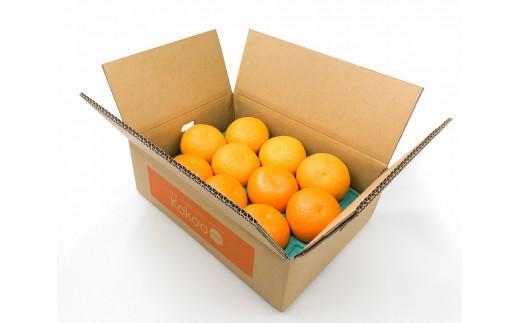 【2026年3月上旬から発送予定】甘夏 家庭用(優品) 10玉 （ 愛媛産 愛媛県産 国産 愛媛みかん 愛媛蜜柑 愛媛ミカン みかん ミカン mikan 蜜柑 柑橘 フルーツ 果物 くだもの お取り寄せ 産地直送 数量限定 人気 おすすめ 愛媛県 松山市 送料無料 ）