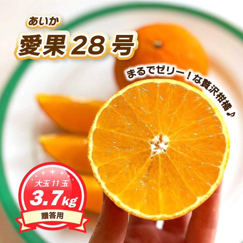 贈答用 愛果28号 (紅まどんな と同品種) 約3.7kg 大玉11玉入り 【2025年11月下旬ごろ発送予定】 | あいか ご家庭用 みかん 数量限定 みかん 愛媛県産 みかん 愛果28号 松山市 みかん 愛果28号 みかん 蜜柑 愛果28号 ミカン みかん 旬 愛果28号