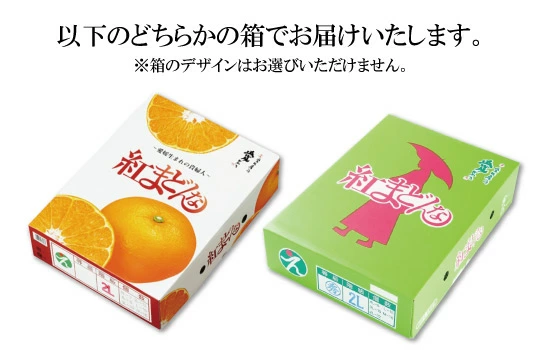 【2026年11月頃から順次発送】 紅まどんな 約3kg 【秀品】 ＜ JA正規化粧箱 ＞ | 紅まどんな 紅マドンナ べにまどんな まどんな マドンナ ベニマドンナ みかん ミカン 蜜柑 果物 くだもの フルーツ 高級 贈答 ギフト 贈り物 柑橘 柑橘類 かんきつ 愛媛果試第28号 愛果28号 常温 国産 愛媛 愛媛県 松山市