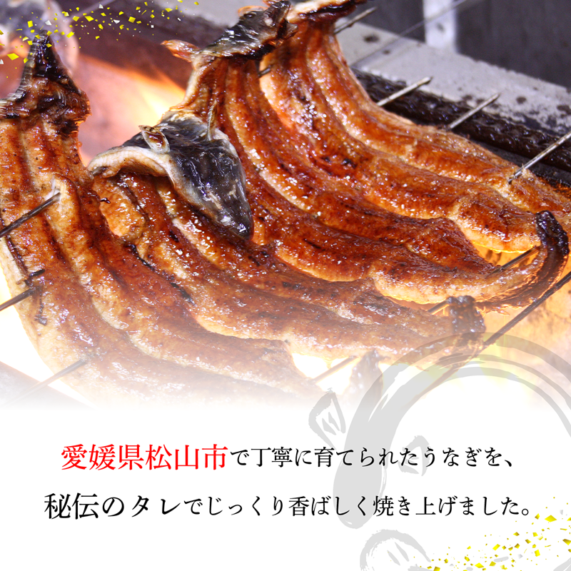〈うなぎ屋かわすい〉愛媛県松山市養殖うなぎを使用！うなぎ蒲焼 3本 (1尾：150〜169g) ｜うなぎ ウナギ 鰻 蒲焼き 国産 お取り寄せ グルメ ふるさと納税 簡単調理 土用丑の日 ギフト 贈り物 お中元 お歳暮 母の日 父の日 かわすい 川口水産 愛媛県 松山市