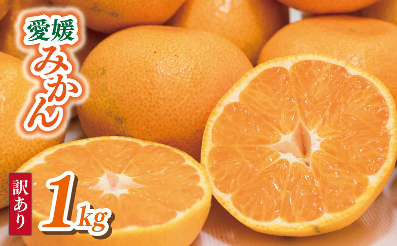 【順次発送中】 訳あり 愛媛みかん 約1kg | えひめみかん 愛媛のみかん 温州みかん みかん 温州ミカン 柑橘 果物 蜜柑 えひめのみかん くだもの フルーツ みかん ミカン mikan mican 不揃い 傷 ワケアリ 訳アリ 愛媛県 松山市