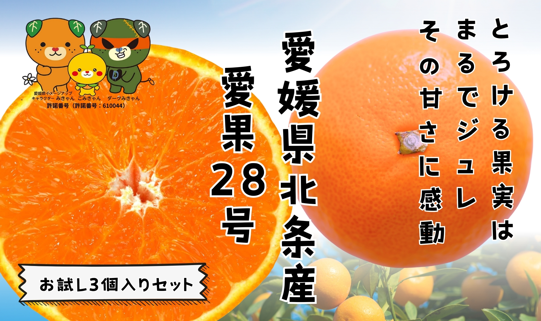 【先行予約】 愛果28号 お試し3個入りセット 愛媛産 愛媛県産 国産 愛媛みかん 愛媛蜜柑 愛媛ミカン みかん ミカン mikan 蜜柑 柑橘 フルーツ 果物 くだもの お取り寄せ 産地直送 数量限定 人気 おすすめ 愛媛県 松山市