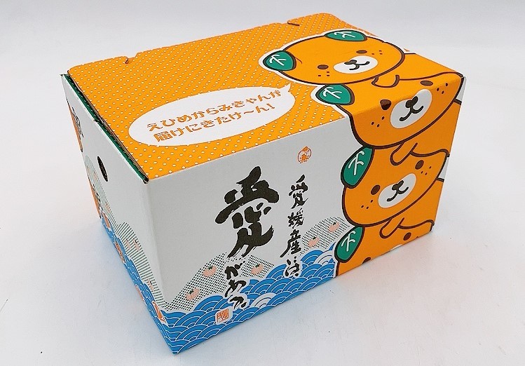 【3月上旬頃順次発送】愛媛県産 はるあいか 2.5kg <M~4Lサイズ>  ｜ 紅プリンセス と同品種 紅まどんな と 甘平 の交配種 愛媛果試第48号 愛果48号 はるあいか みかん 国産 フルーツ 果物 くだもの お取り寄せ 産地直送 数量限定 人気 おすすめ 愛媛県 松山市 送料無料 フジ・アグリフーズ
