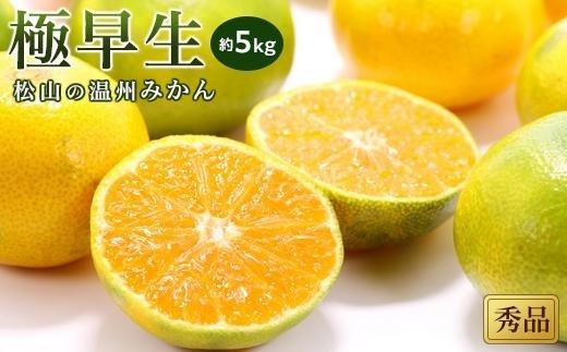 【2026年10月中旬頃から順次発送】温州みかん「極早生」〈秀品〉約5kg （ 愛媛産 愛媛県産 国産 愛媛みかん 愛媛蜜柑 愛媛ミカン みかん ミカン mikan 蜜柑 柑橘 フルーツ 果物 くだもの お取り寄せ 産地直送 数量限定 人気 おすすめ 愛媛県 松山市 送料無料 ）