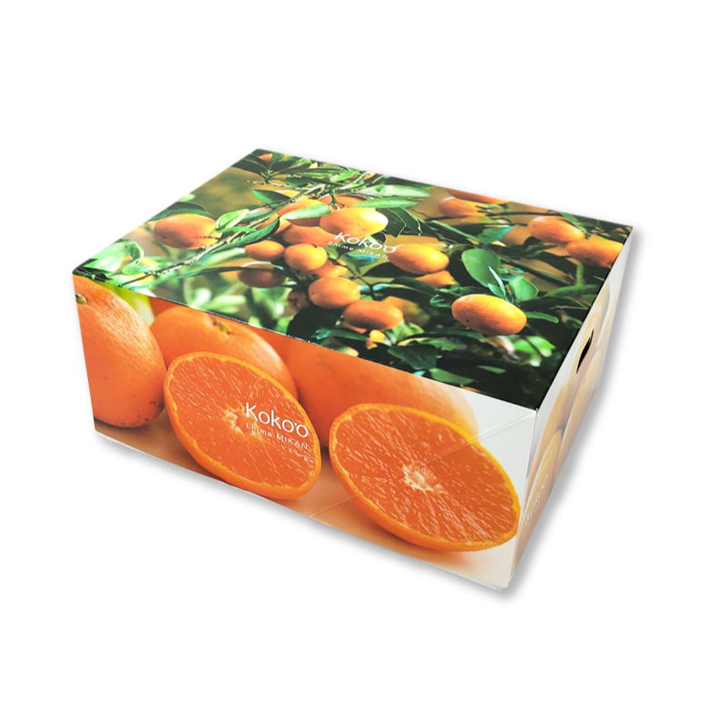 【2026年3月中旬頃から発送予定】きよみ ＜秀品＞ 約2.5kg (M-Lサイズ) ギフトBOX入り | みかん きよみ 秀品 清見 柑橘 贈答箱 愛媛県 松山市 ココオ Koko'o