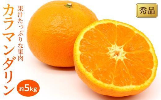 【2026年4月上旬頃から発送予定】 カラマンダリン＜秀品＞約5kg （ 愛媛産 愛媛県産 国産 愛媛みかん 愛媛蜜柑 愛媛ミカン みかん ミカン mikan 蜜柑 柑橘 フルーツ 果物 くだもの お取り寄せ 産地直送 数量限定 人気 おすすめ 愛媛県 松山市 送料無料 ）