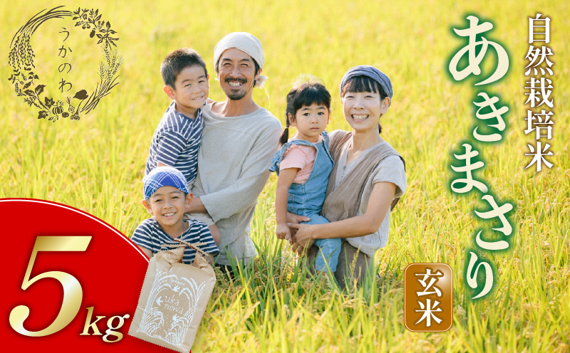 【2025年11月上旬から順次発送予定】うかのわ自然栽培米あきまさり5kg 玄米｜自然栽培 米 お米 おこめ こめ 愛媛県 松山市