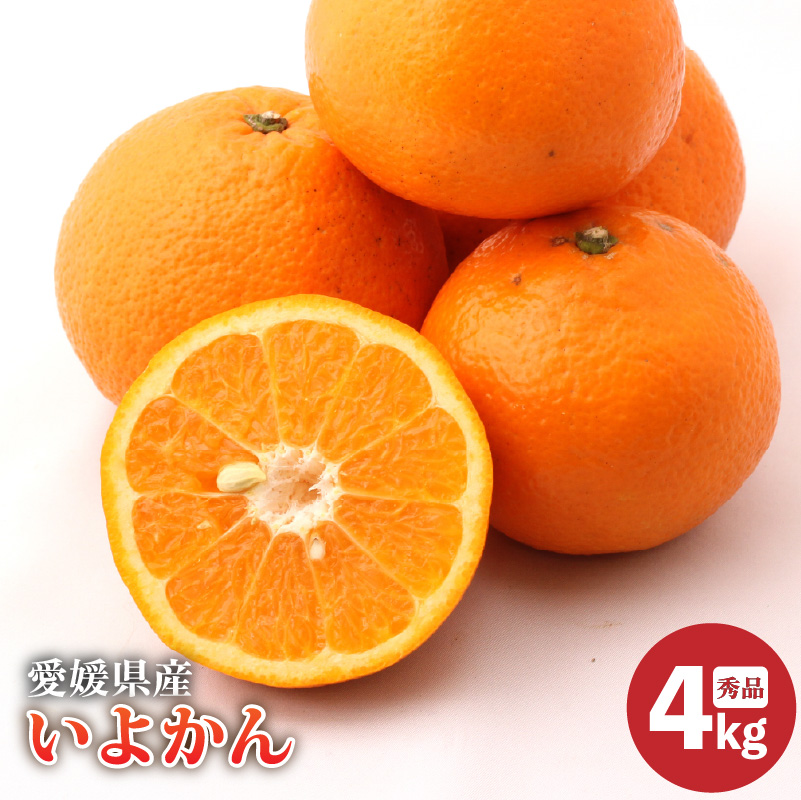 [2026年2月上旬より発送]愛媛県産 伊予柑 秀品 約4kg | いよかん イヨカン iyokan みかん ギフト 贈り物 蜜柑 柑橘 数量限定 愛媛県 松山市
