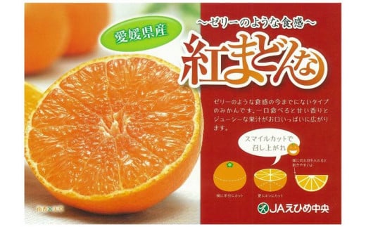 【2024年12月から発送】紅まどんな 約2.7kg 青秀 L ~ 3Lサイズ（ 10 〜15玉 ） 愛媛県産 みかん 柑橘 オレンジ フルーツ 果物 愛果28号 新鮮 愛媛県 松山市 みかん