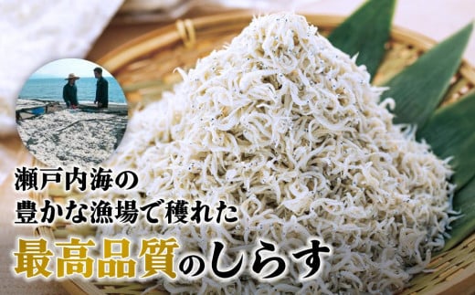 しらす 1.6kg ( 200g × 8パック ) 冷凍 小分け 約24人前 しらす丼 丼ぶり 魚 さかな ご飯 ごはん 炒飯 チャーハン パスタ スパゲティ サラダ 卵焼き お取り寄せ グルメ 人気 おすすめ 愛媛県 松山市