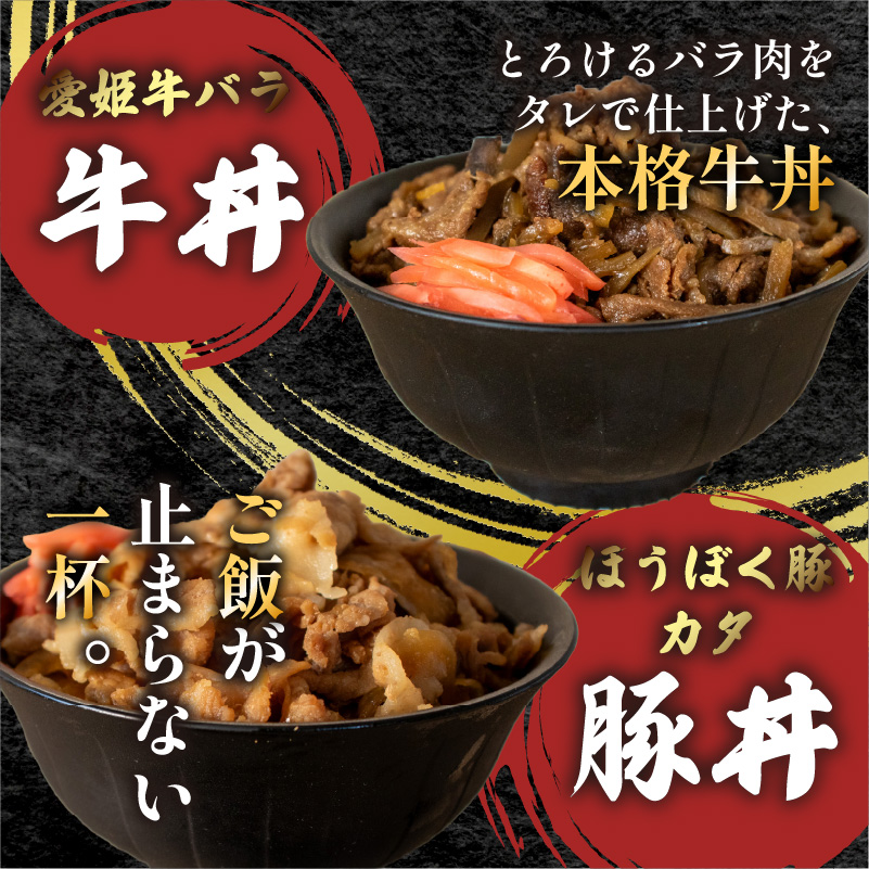 愛媛の美味しいお肉料理の詰め合わせ | 肉 肉料理 牛肉 豚肉 とんかつ メンチカツ 牛丼 豚丼 冷凍 詰め合わせ 食べ比べ セット 愛媛県産 簡単調理 ご当地グルメ 愛媛県 松山市