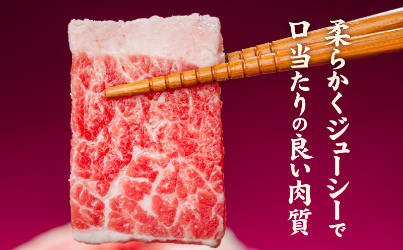 牛肉 カルビ スライス バラ凍結 3kg インジェクション加工 牛カルビ かるび バラ肉 肉 冷凍 小分け 焼肉 焼き肉 BBQ バーベキュー ステーキ 丼物 簡単調理 炒め物 家庭用 業務用 人気 お取り寄せ 愛媛県 松山市