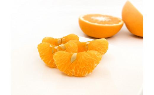 【2026年3月上旬から発送予定】甘夏 家庭用(優品) 10玉 （ 愛媛産 愛媛県産 国産 愛媛みかん 愛媛蜜柑 愛媛ミカン みかん ミカン mikan 蜜柑 柑橘 フルーツ 果物 くだもの お取り寄せ 産地直送 数量限定 人気 おすすめ 愛媛県 松山市 送料無料 ）