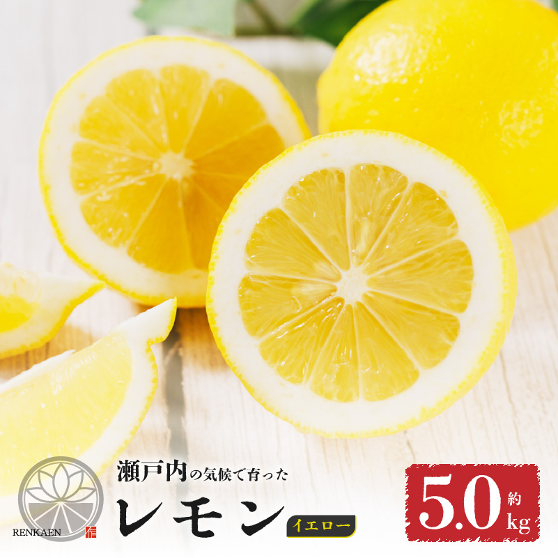 【先行予約】 【イエローレモン】 【 2026年1月上旬から発送】 約5kg 防腐剤 ワックス 不使用｜ 訳あり レモン 檸檬 完熟 柑橘 酸味 国産 愛媛県産 訳あり 新鮮 愛媛 松山