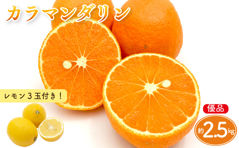 【先行予約】カラマンダリン 家庭用(優品) 約2.5kg & 瀬戸内海の島レモン 3玉 セット | 柑橘 レモン みかん 蜜柑 mikan 檸檬 オレンジ かんきつ セット【2026年3月下旬頃から発送予定】 瀬戸内海 愛媛県 松山市 ココオ Koko'o