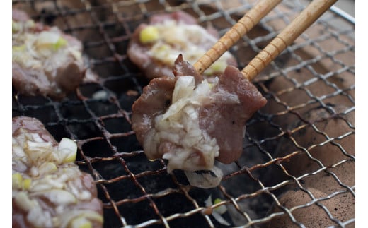 訳あり 特製塩だれ 牛たん 650g 牛タン タン肉 焼肉 焼き肉 BBQ 不揃い 切り落とし カット済み お取り寄せ 小分け タン先 タン中 簡単料理 キャンプ 冷凍 ご飯のお供 おかず 惣菜 松山市 愛媛県 たん 牛たん キャンプ飯 愛媛 松山 えひめ まつやま 冷凍 簡単調理 アウトドア 焼くだけ 食品 スライス タン塩 たん塩 ぎゅうたん ギュウタン わけあり ワケアリ 牛たん塩