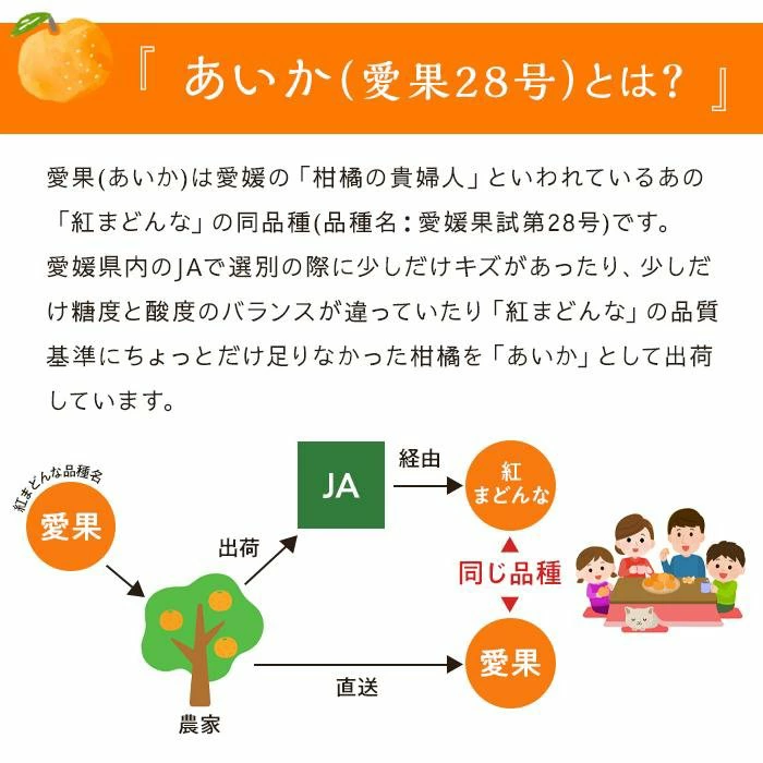 【2026年11月中旬頃から順次発送】愛果28号 (紅まどんな と同品種) 家庭用(優品) 約3kg あいか みかん ミカン オレンジ 贈答 ギフト プレゼント 高級 柑橘 松山 愛媛県