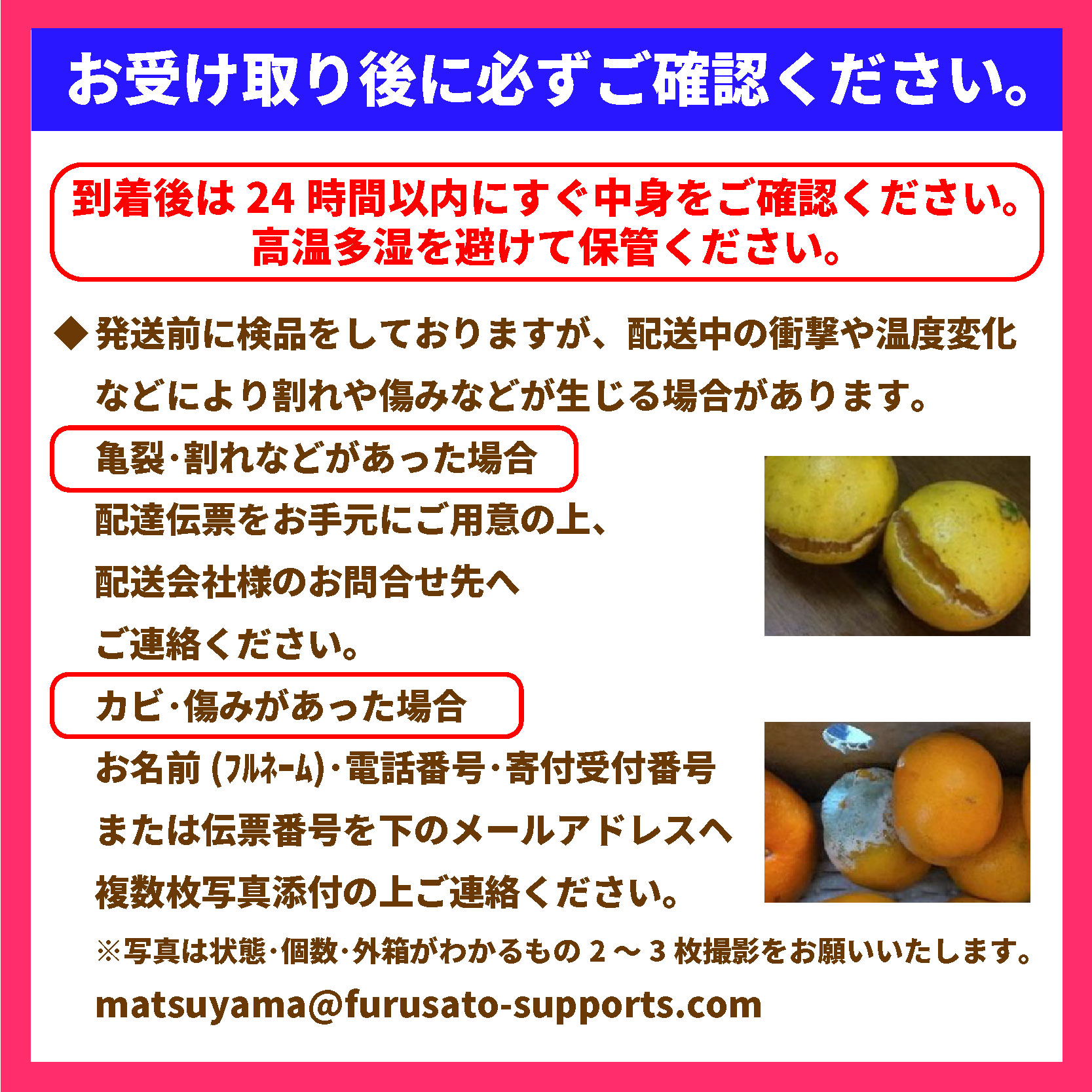 【2025年1月発送】宮内伊予柑 L〜2L 優品以上 10kg 興居島 宮内 いよかん 愛媛 柑橘 伊予柑 イヨカン みかん くだもの ミカン フルーツ 数量限定 産地直送 国産 柑橘 松山